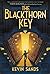 The Blackthorn Key