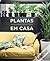 Plantas em Casa