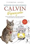Calvin Esparguete by Filomena Lança