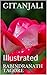 GITANJALI : Illustrated