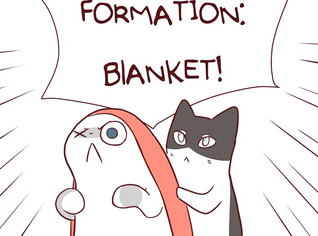 Saphie: The One-Eyed Cat (Episodes 51-75)