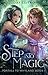 Step into Magic (Portals to Whyland, #1)