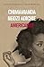 Americanah by Chimamanda Ngozi Adichie Americanah by Chimamanda Ngozi Adichie