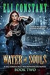 Water of Souls by Eli Constant