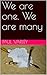 We are one. We are many by Paul Varley