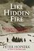 Like Hidden Fire: The Plot to Bring Down the British Empire