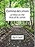 Camino de Limon: 47 Days on...