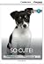 So Cute! Beginning Book with Online Access (Cambridge Discovery Education Interactive Readers)