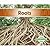 Roots