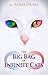 The Big Bag Of Infinite Cats by Adam Drake