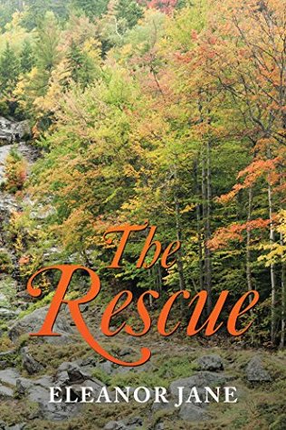 The Rescue (Kindle Edition)