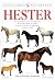 Hester
