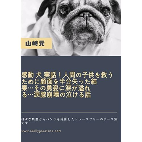 Inu To Kurasu Koto Wa Honto Ni Kenkona No Ka Kyomibukai Chosa Kekka Ga By Yamazaki