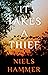 It Takes a Thief