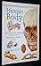 Human Body