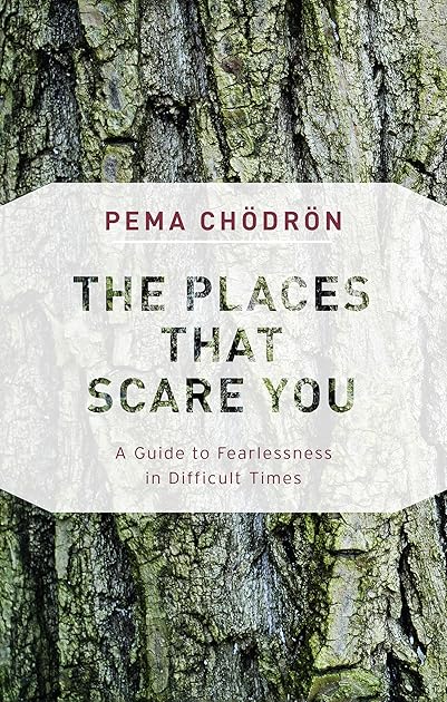 The Places That Scare You: A Guide to Fearlessness in Difficult Times