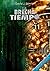 La brecha del tiempo (Spanish Edition)