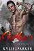 Outlaw's Sin (Fire & Ice Romance #2)