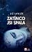 Zatímco jsi spala by Liz Lawler