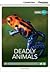 Deadly Animals High Beginni...