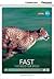 Fast: The Need for Speed High Beginning Book with Online Access (Cambridge Discovery Education Interactive Readers)