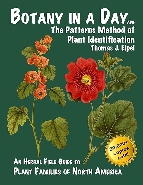 Botany in a Day: The Patterns Method of Plant Identification
