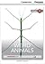 Weird Animals Low Intermediate Book with Online Access (Cambridge Discovery Education Interactive Readers)