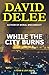 While the City Burns: A Fly...