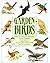 Garden birds by Clifford B. Frith