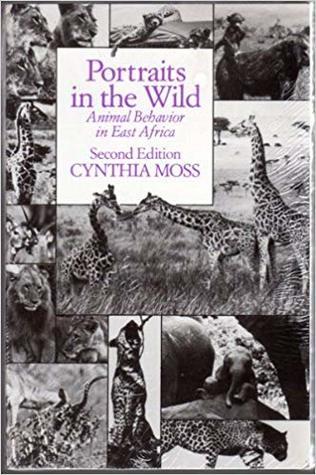 Portraits in the Wild: Animal Behavior in East Africa