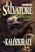 A ​kalózkirály (Átmenetek #2) (Drizzt legendája #18)