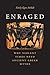 Enraged: Why Violent Times Need Ancient Greek Myths