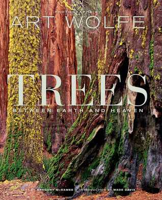 Trees: Between Earth and Heaven (Hardcover)