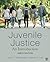 Juvenile Justice: An Introduction