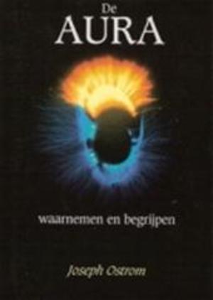 De Aura | waarnemen en begrijpen