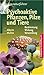 Psychoaktive Pflanzen, Pilze und Tiere: Bestimmung, Wirkung, Verwendung