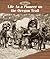 Life As a Pioneer on the Oregon Trail