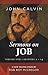 Sermons on Job Volume One: Chapters 1-14
