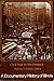 The Prairie State: A Documentary History of Illinois (Civil War to the Present)