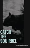 Catch The Squirrel