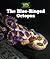 The Blue-Ringed Octopus