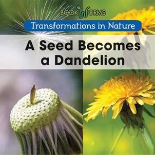 A Seed Becomes a Dandelion (Transformations in Nature)