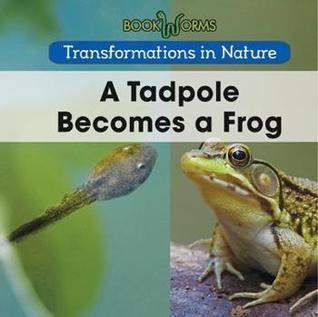 A Tadpole Becomes a Frog (Transformations in Nature: Bookworms)