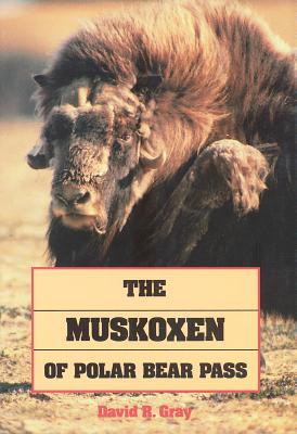 Muskoxen of Polar Bear Pass