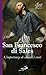 San Francesco di Sales: L'i...