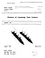 Physics of Forebody Flow Co...
