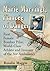 Marie Marvingt, Fiancee of Danger First Female Bomber Pilot, World-Class Athlete and Inventor of the Air Ambulance by Rosalie Maggio