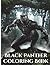 Black Panther Coloring Book