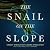 The Snail on the Slope