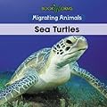 Sea Turtles